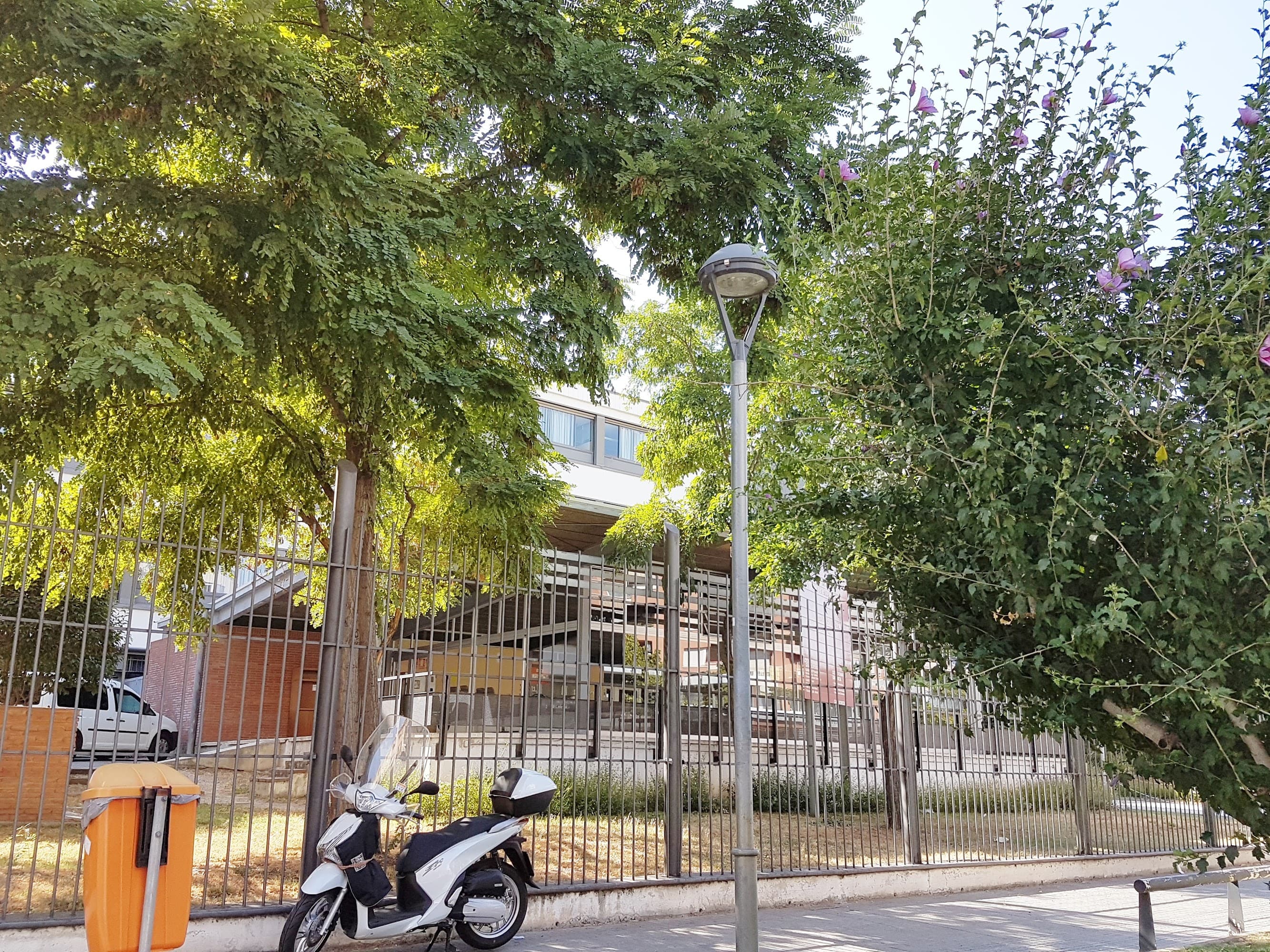 Foto secundaria del campus Institut de Terrassa