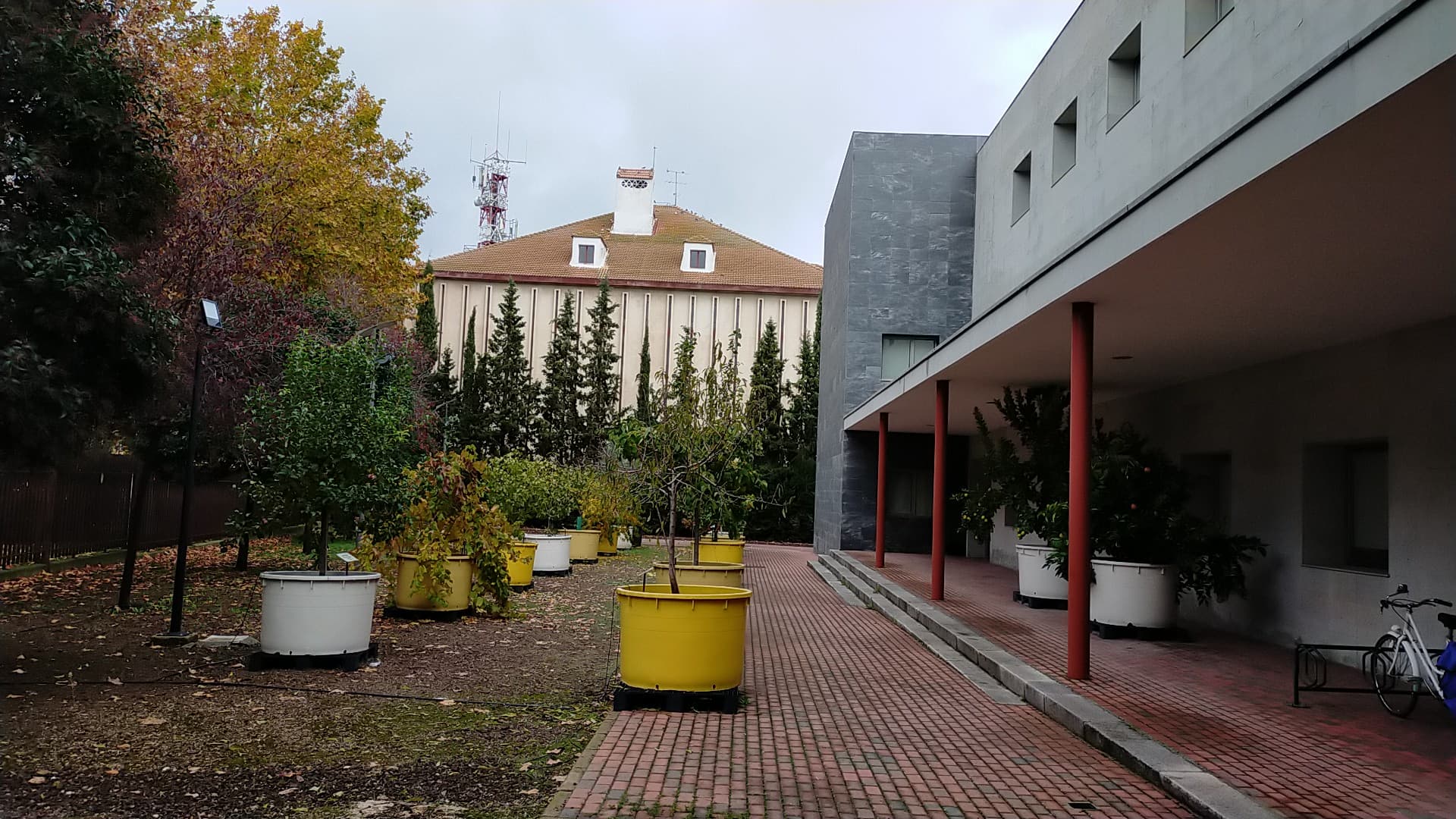 Foto del campus Escuela Técnica Superior de Ingenieros Agrónomos de Ciudad Real