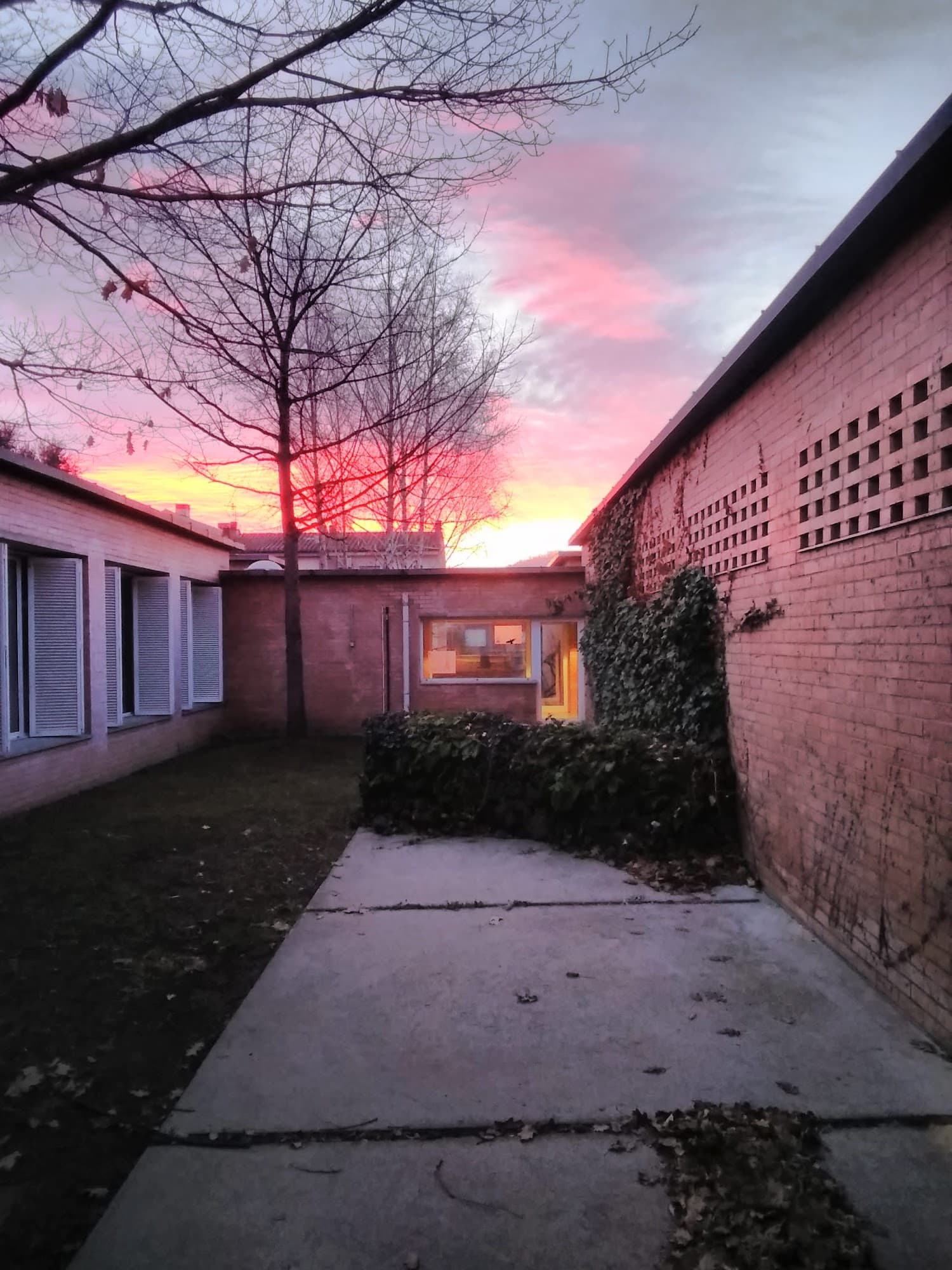Foto secundaria del campus Institut Bosc de la Coma