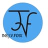 Institut J.V. Foix