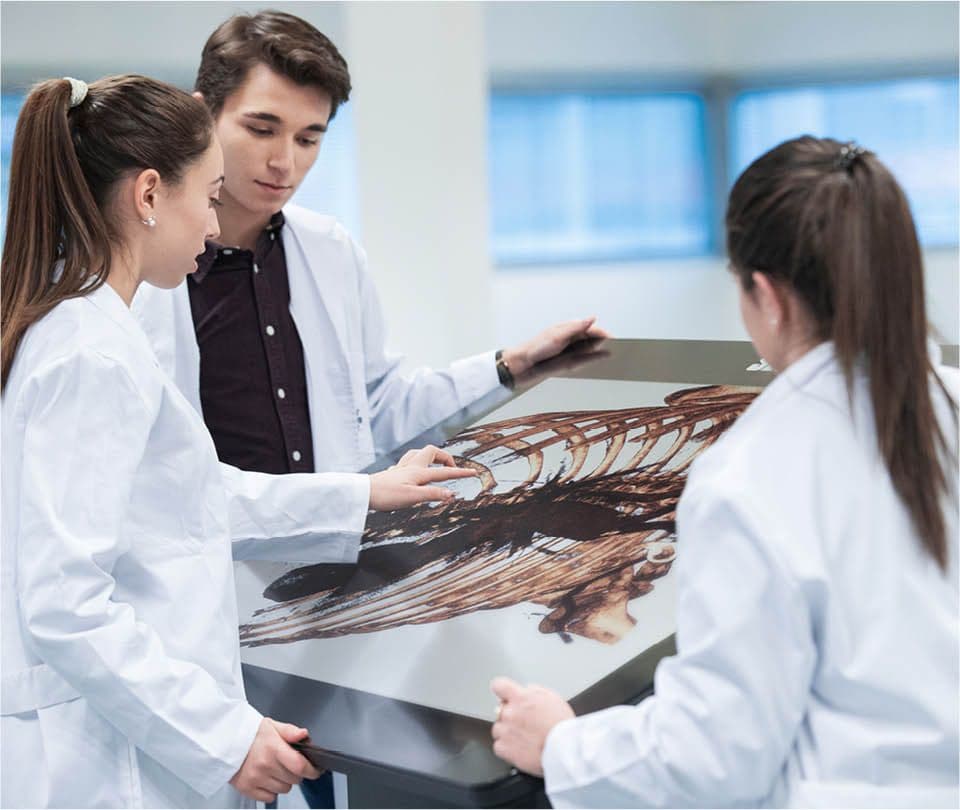 Foto secundaria del campus Facultad de Medicina