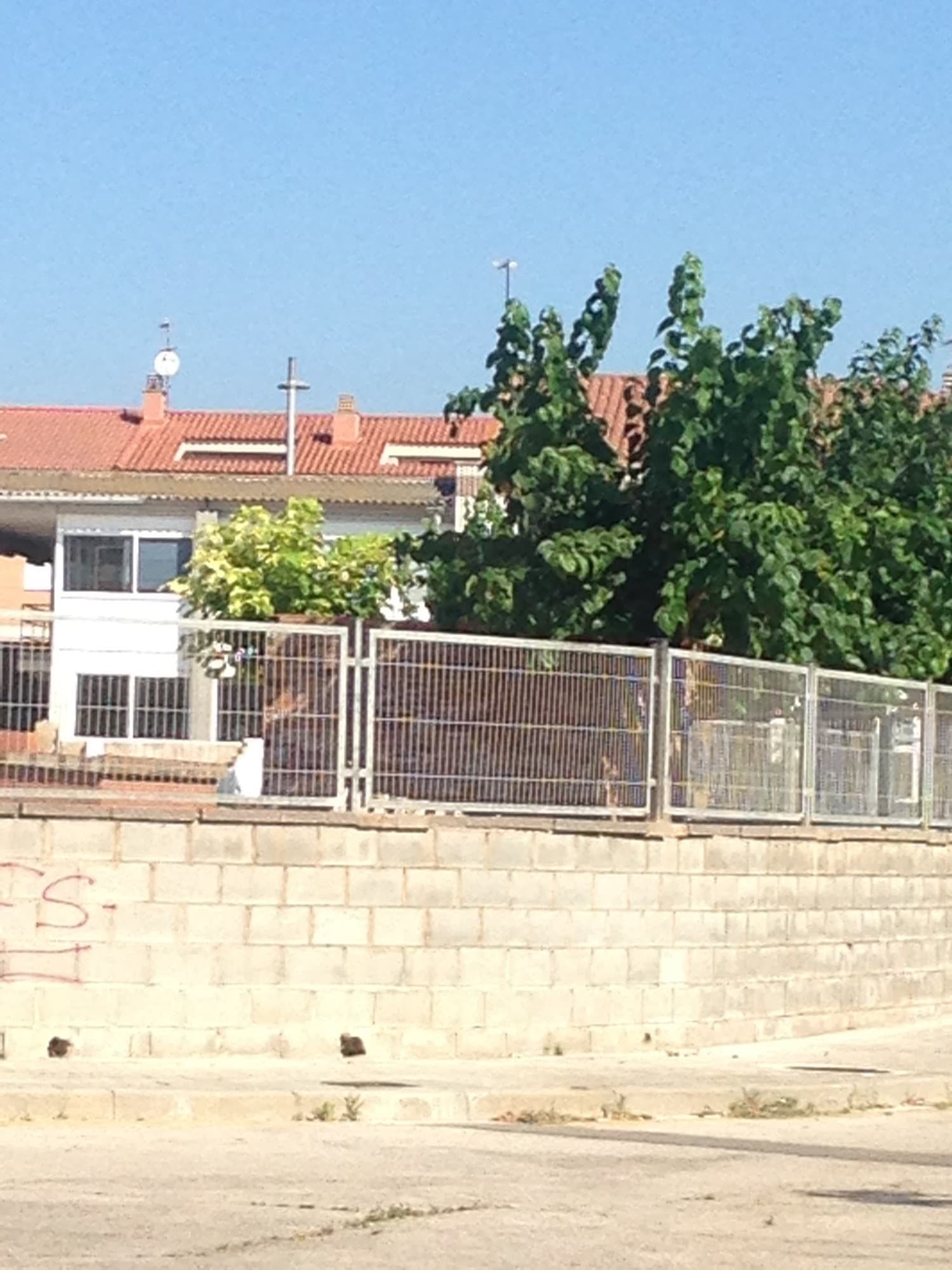 Foto secundaria del campus Institut Campclar