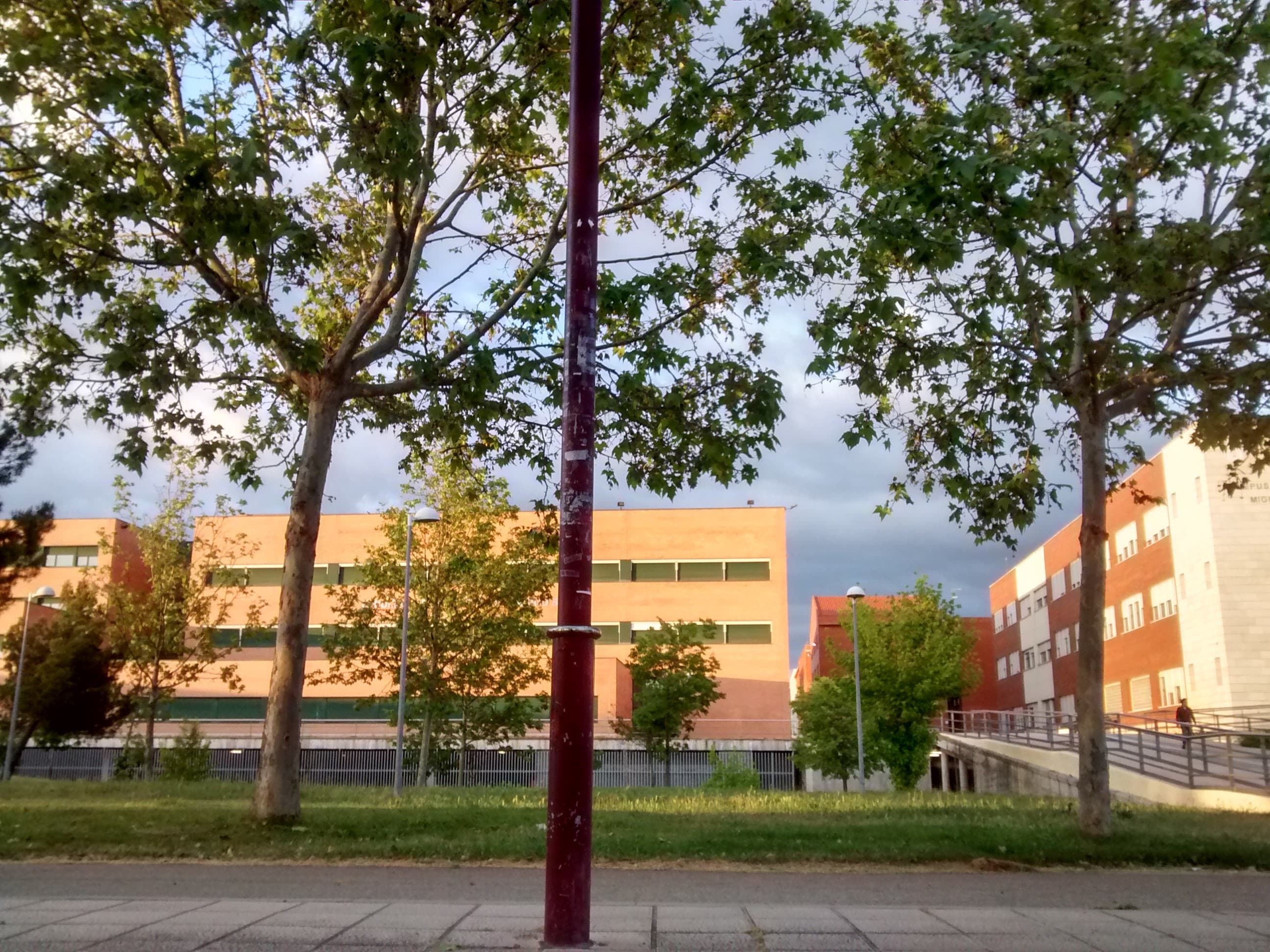 Foto secundaria del campus Facultad de Educación y Trabajo Social