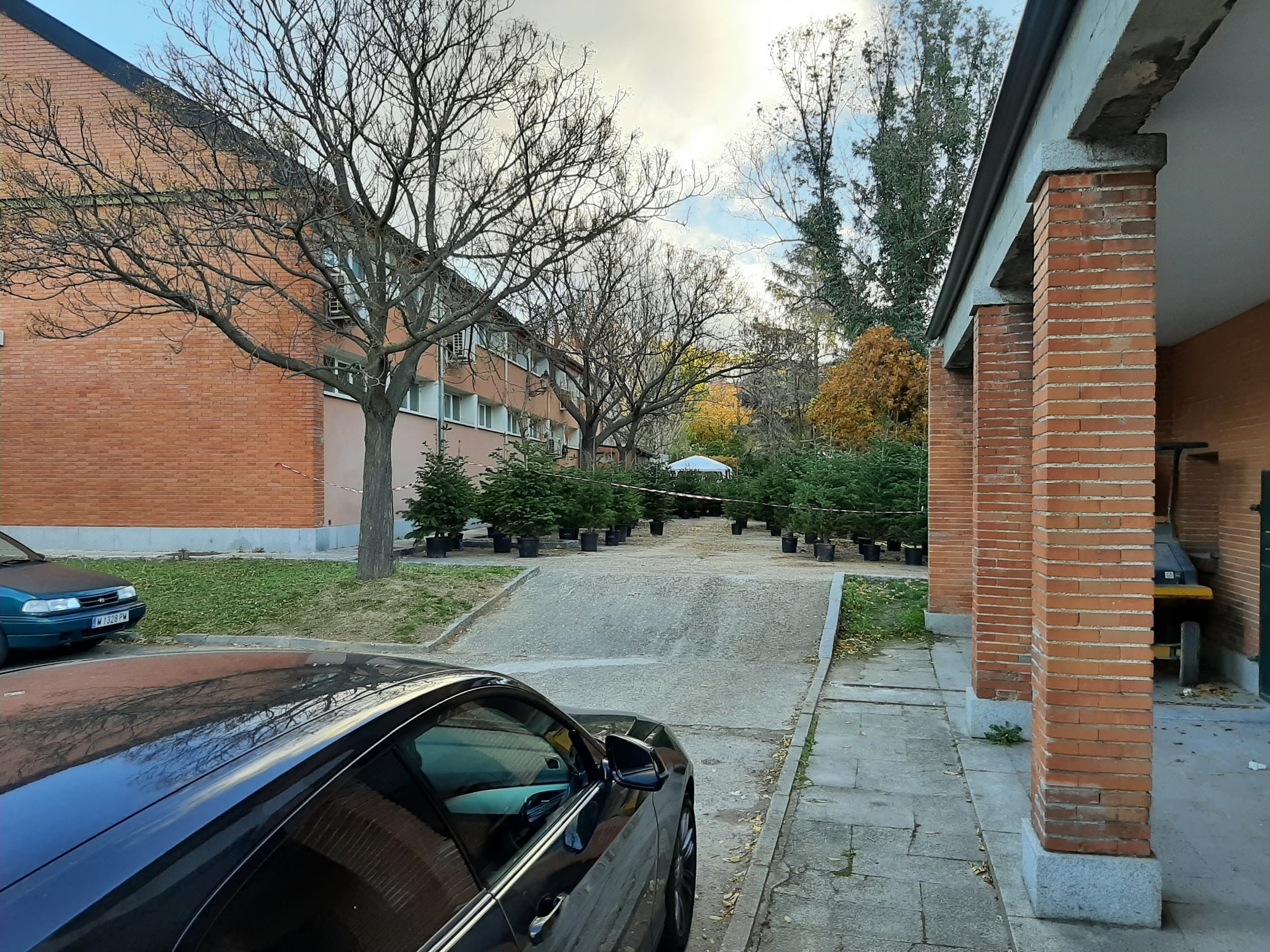 Foto secundaria del campus Escuela Técnica Superior de Ingeniería de Montes, Forestal y del Medio Natural