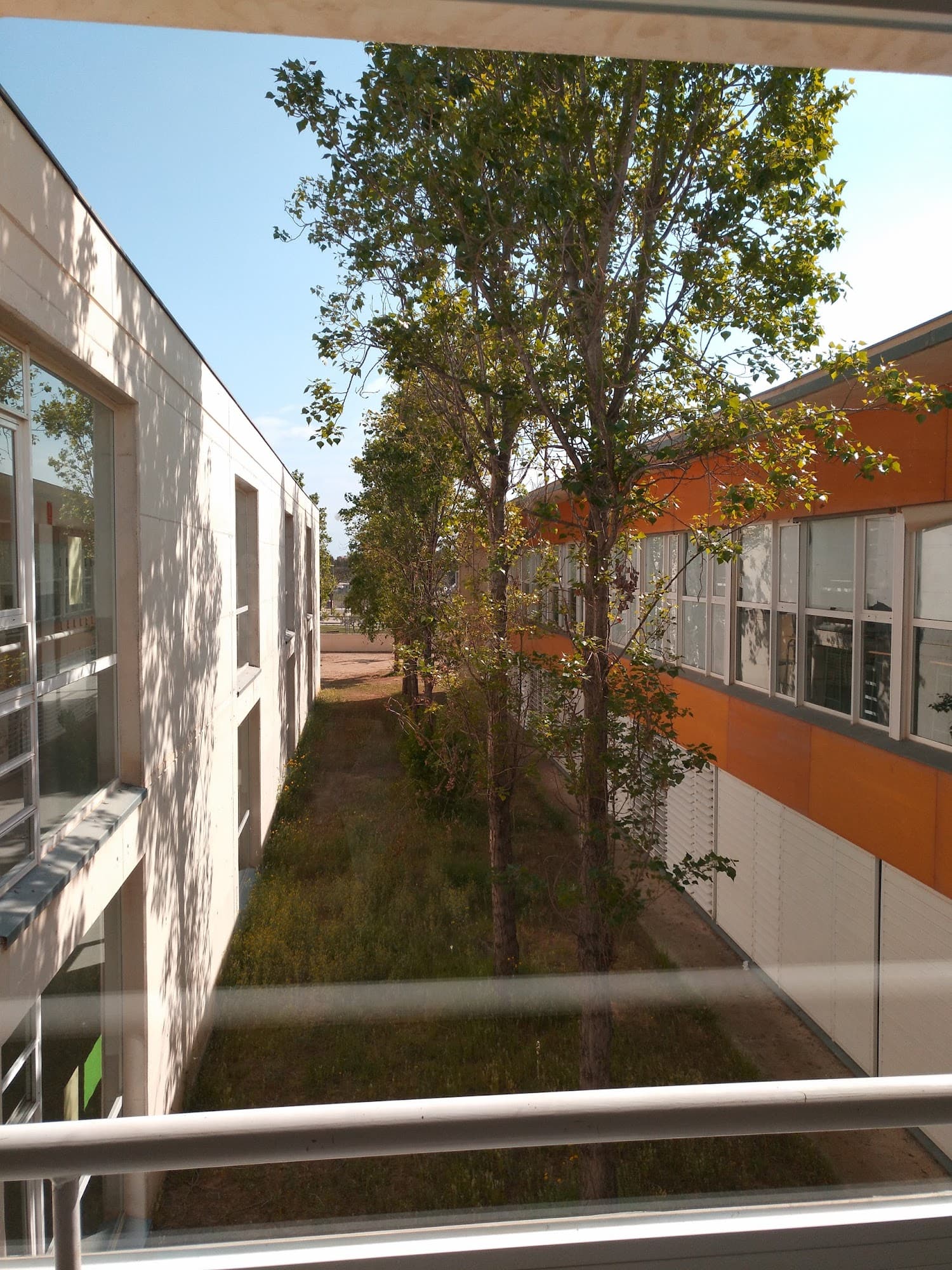 Foto secundaria del campus Institut Ramon de la Torre