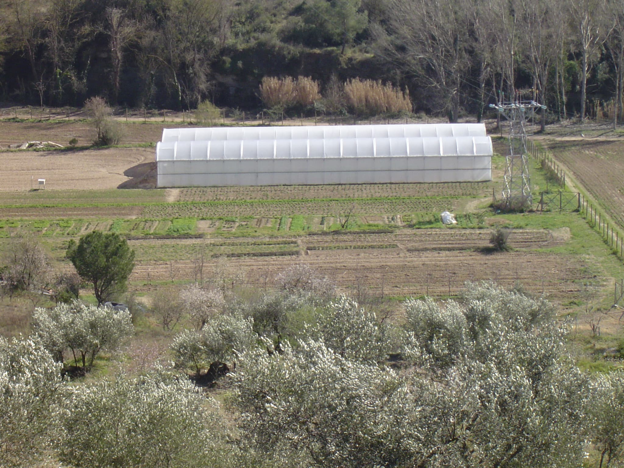 Foto secundaria del campus Escola Agrària de Manresa