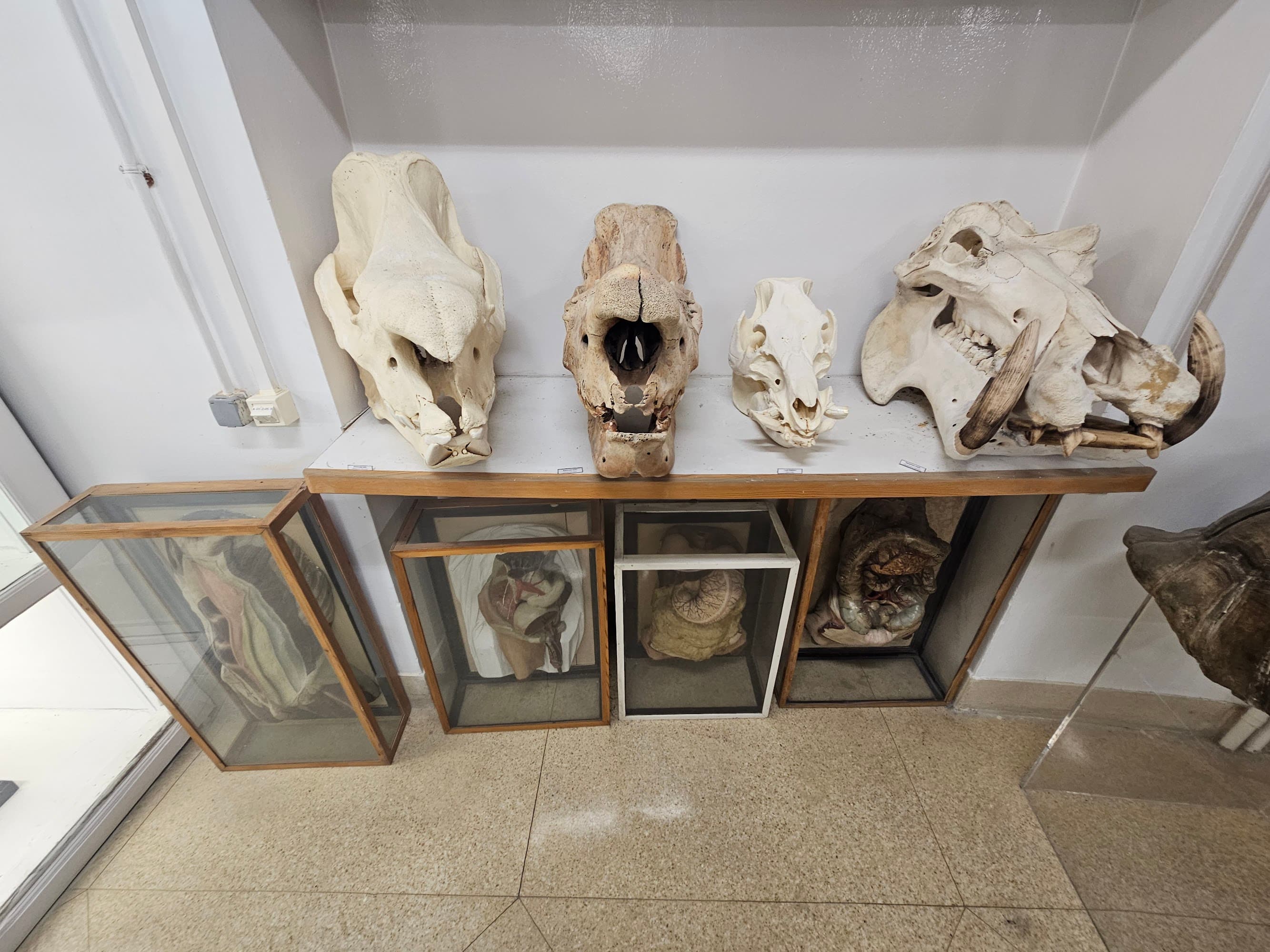 Foto secundaria del campus Facultad de Medicina