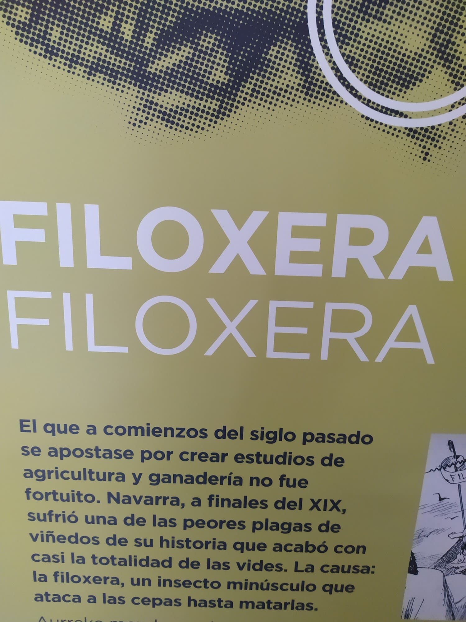 Foto secundaria del campus Escuela Técnica Superior de Ingeniería Agronómica y Biociencias
