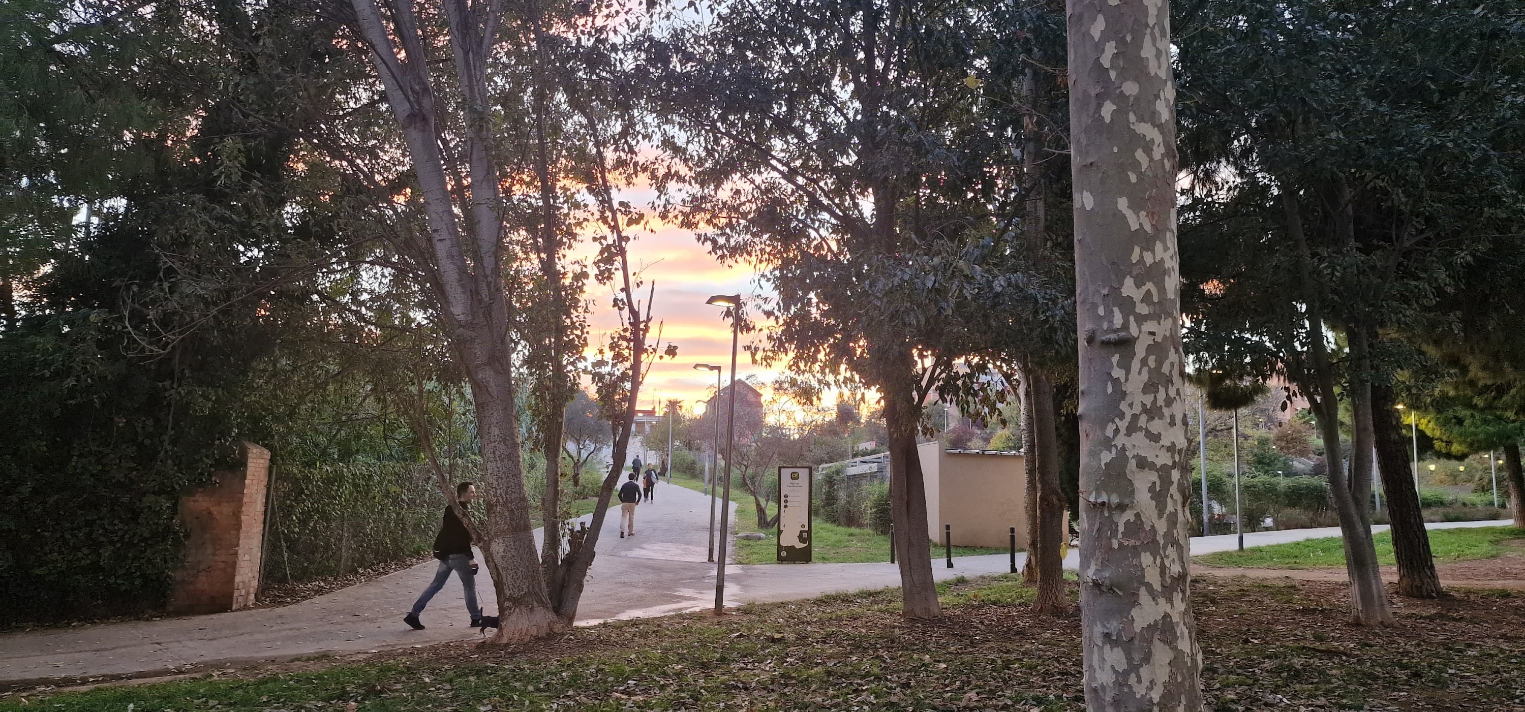 Foto secundaria del campus Institut Bellvitge