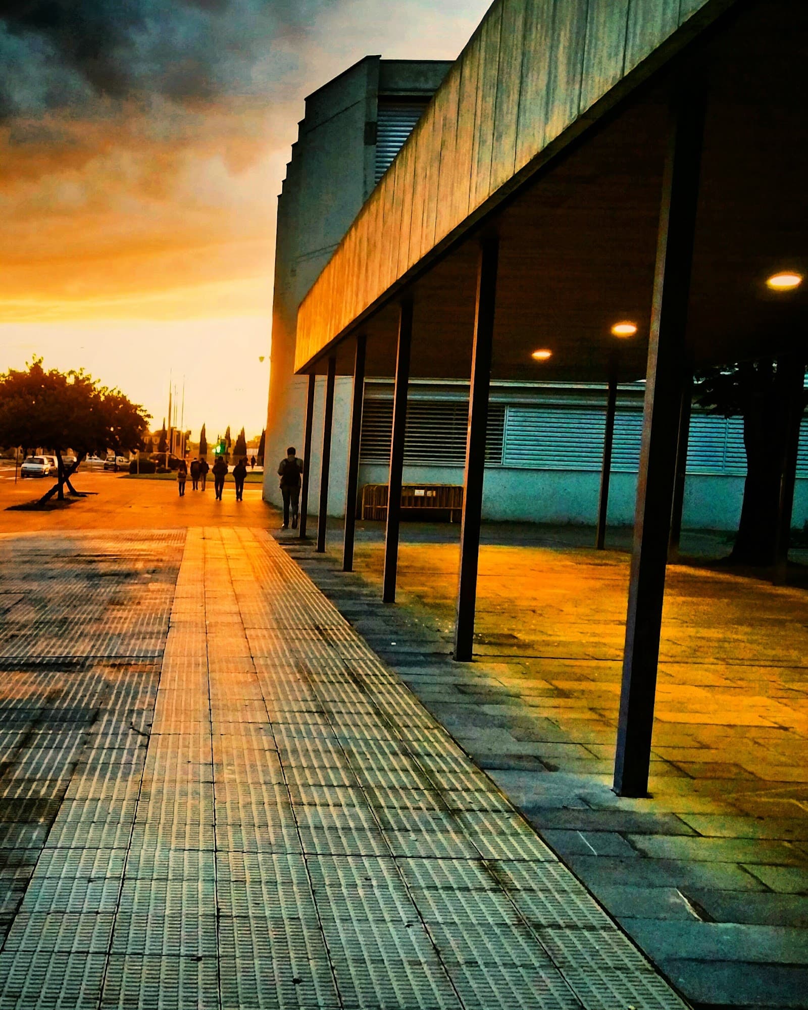 Foto secundaria del campus Escuela de Ingeniería y Arquitectura
