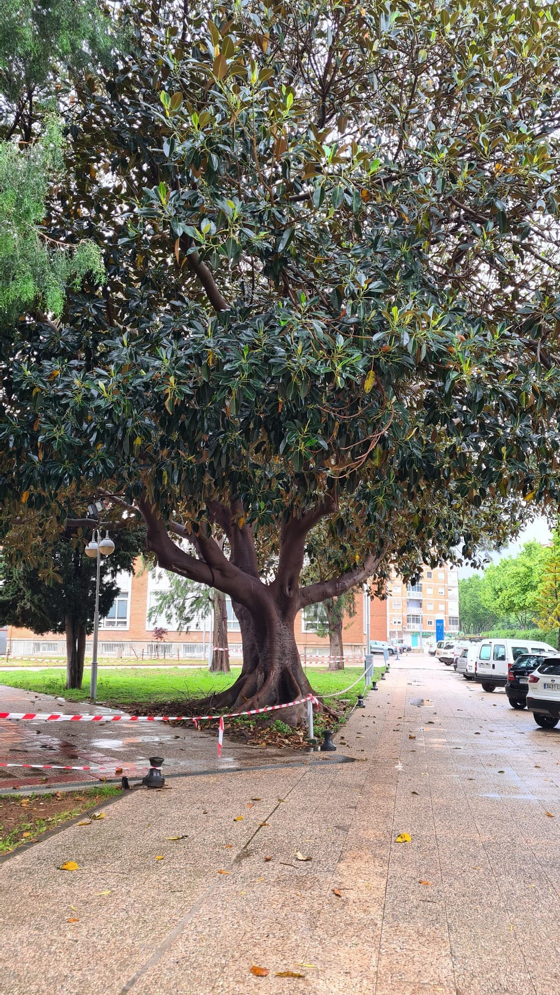 Foto secundaria del campus Escuela Técnica Superior de Ingeniería Agronómica