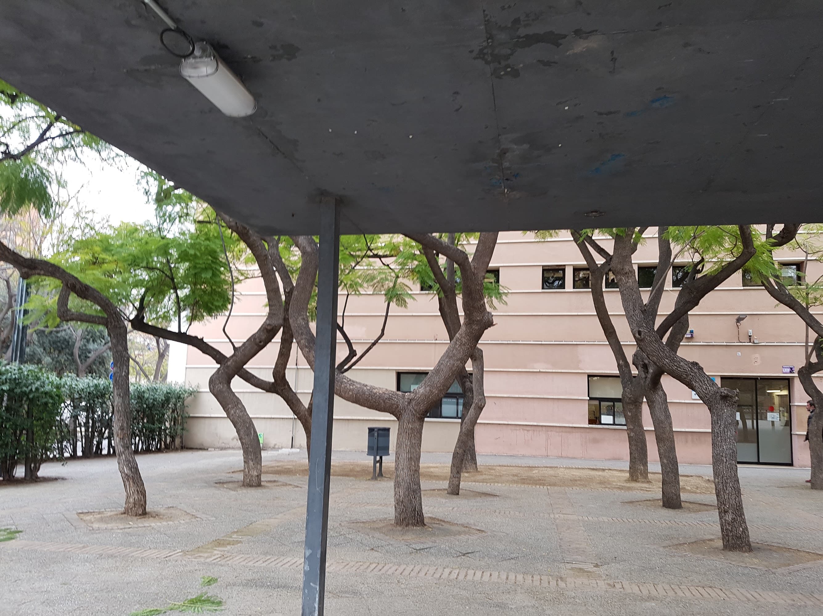 Foto secundaria del campus CEE Pont del Dragó