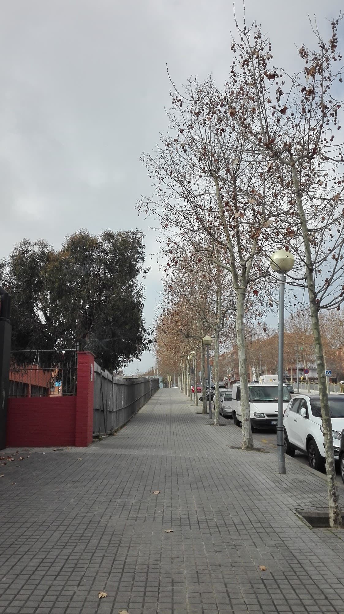 Foto secundaria del campus Institut Thos i Codina