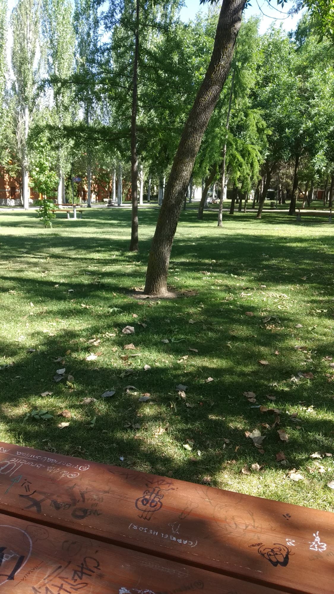 Foto secundaria del campus Campus de Madrid