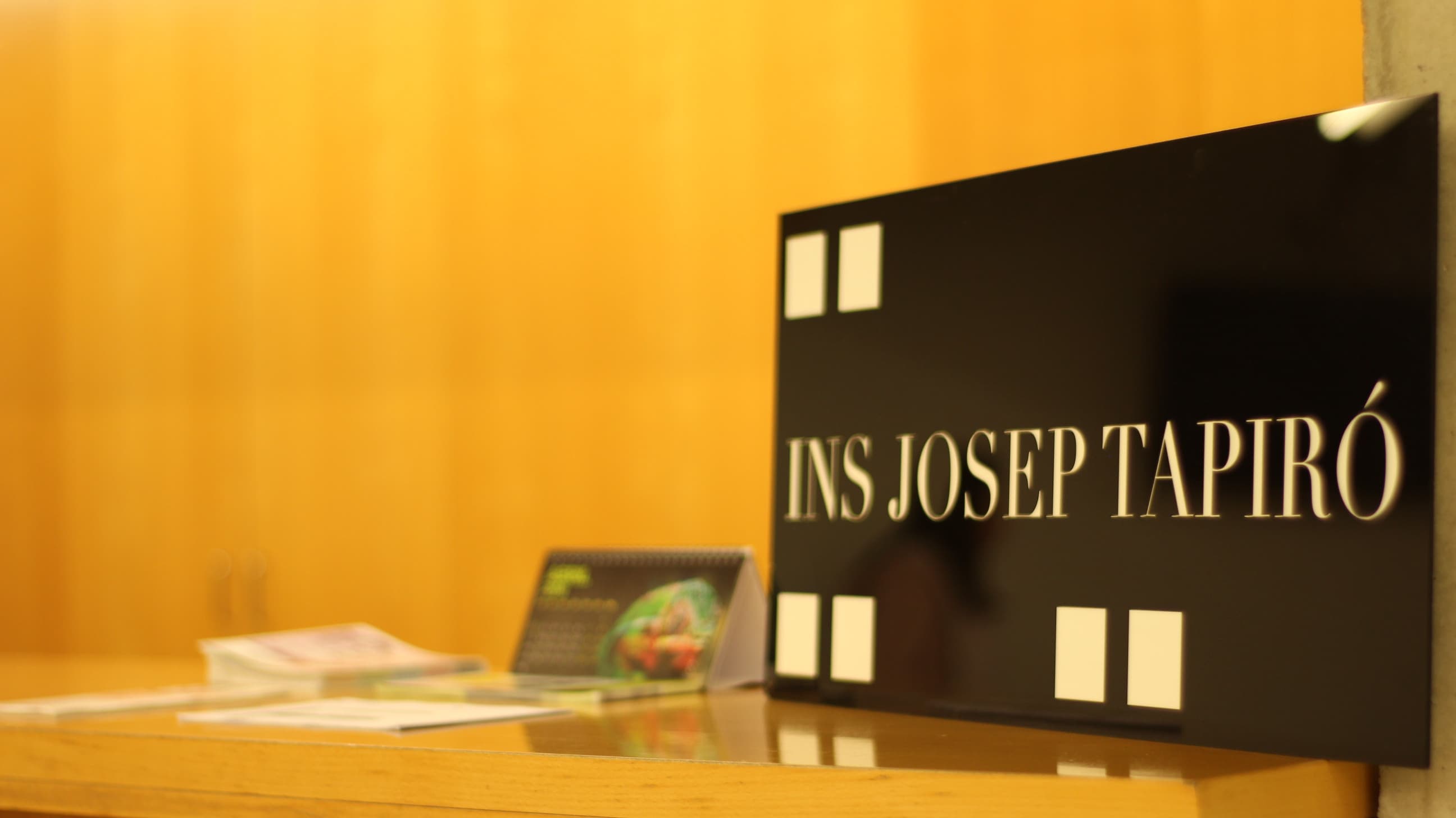 Foto del campus Institut Josep Tapiró