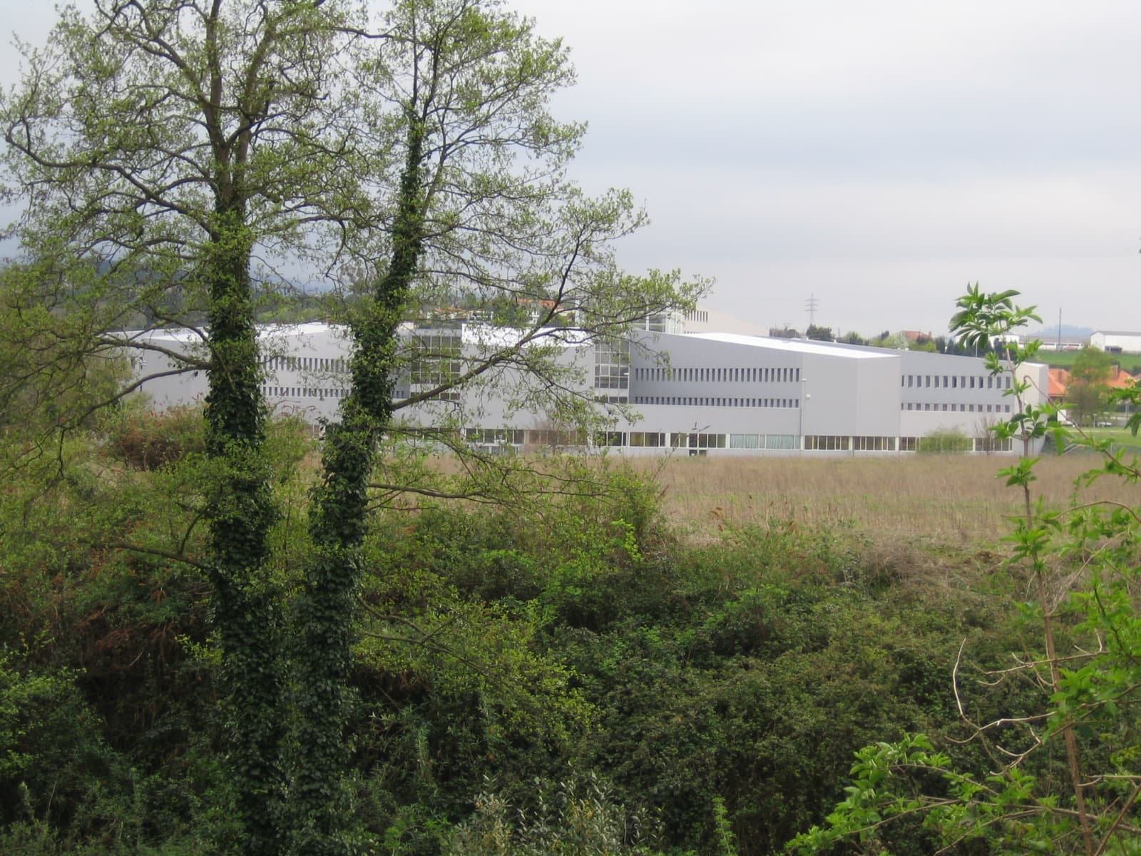Foto del campus Escuela Politécnica de Ingeniería de Gijón