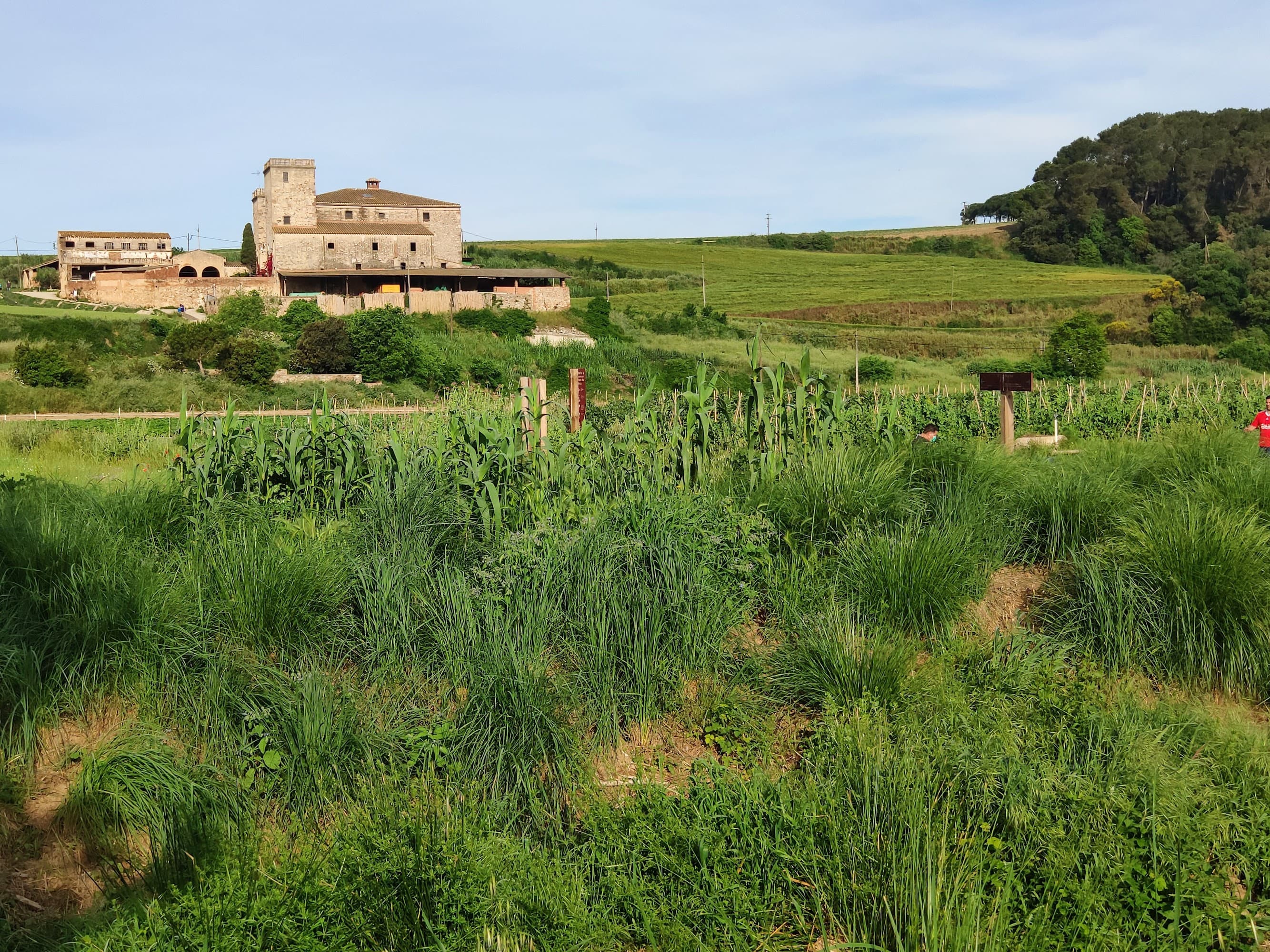 Foto del campus Institut Torre de Malla