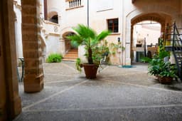 Centro de Educación Superior Felipe Moreno-Nebrija
