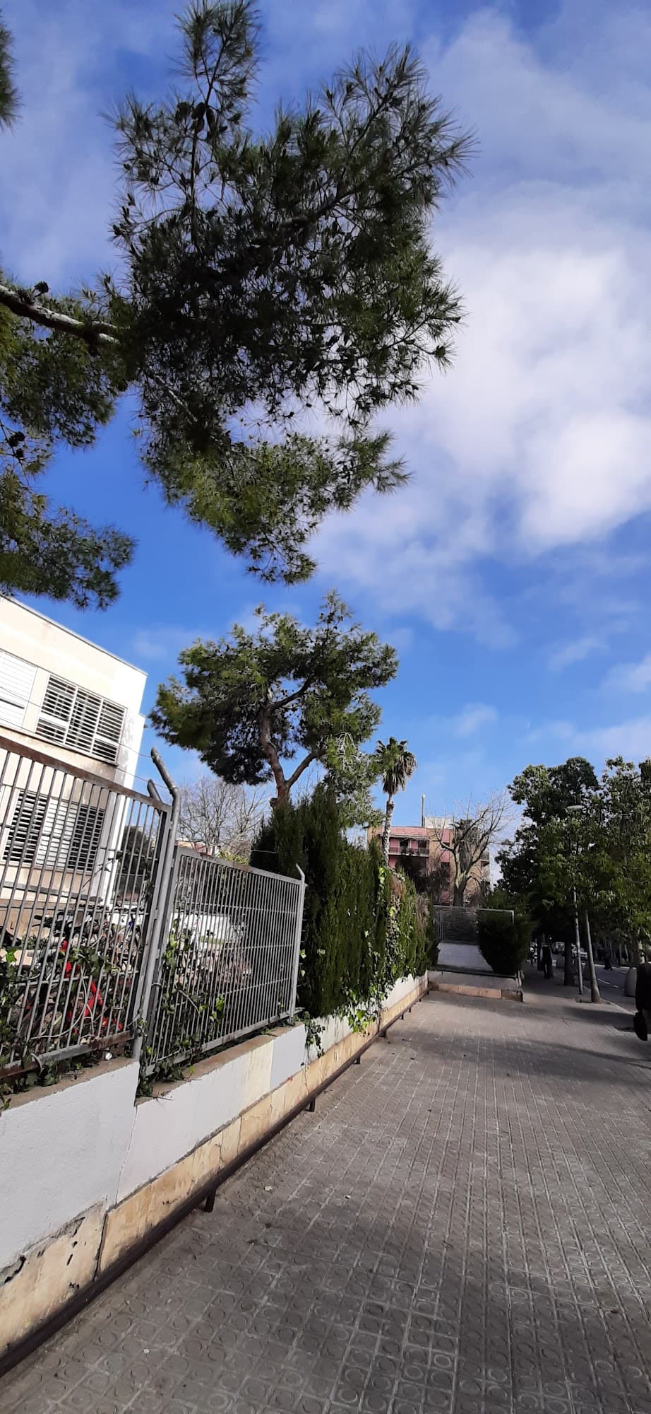 Foto del campus Institut Manuel de Cabanyes
