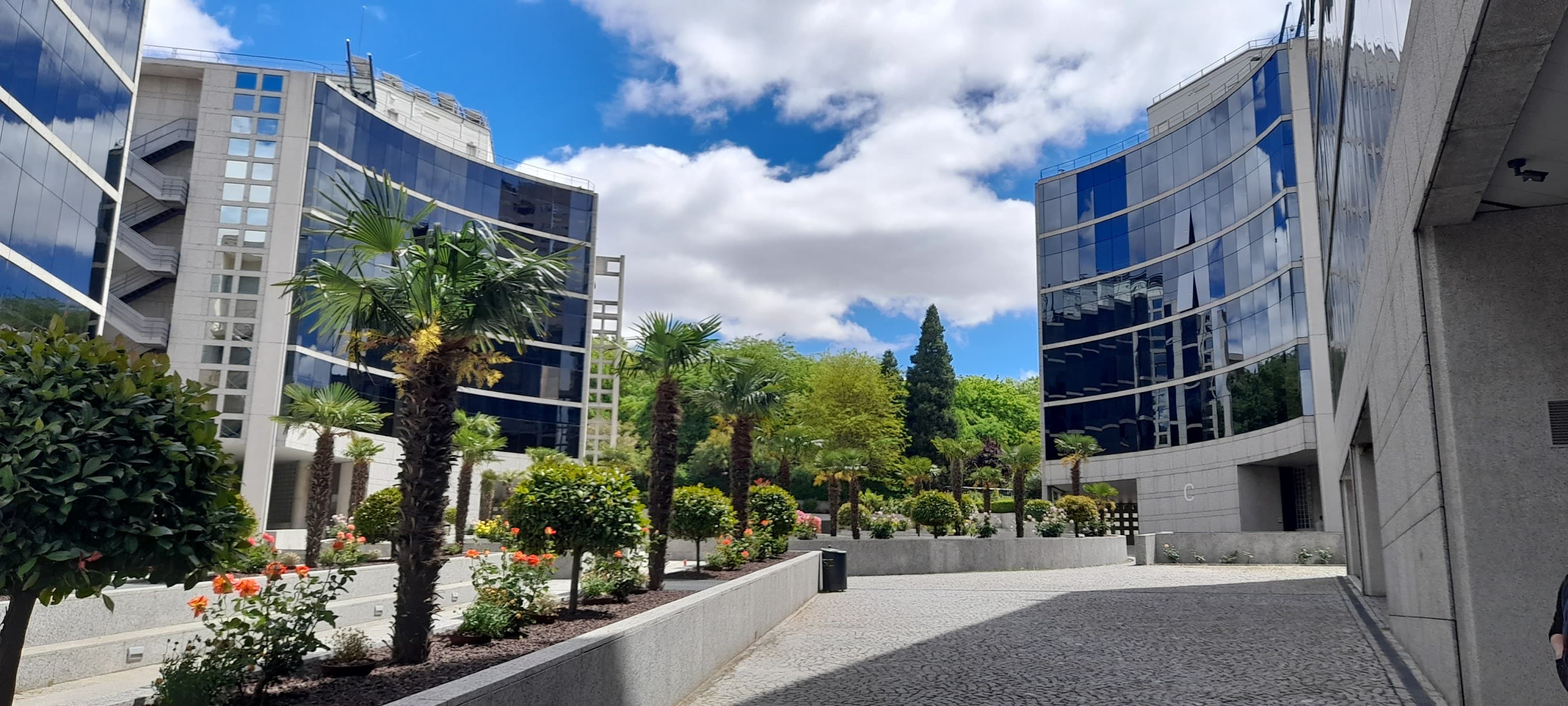 Foto secundaria del campus Campus Almansa