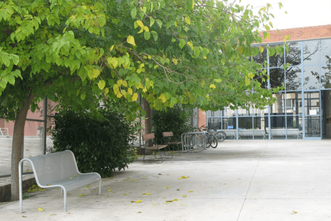 Foto secundaria del campus Institut Joaquim Mir