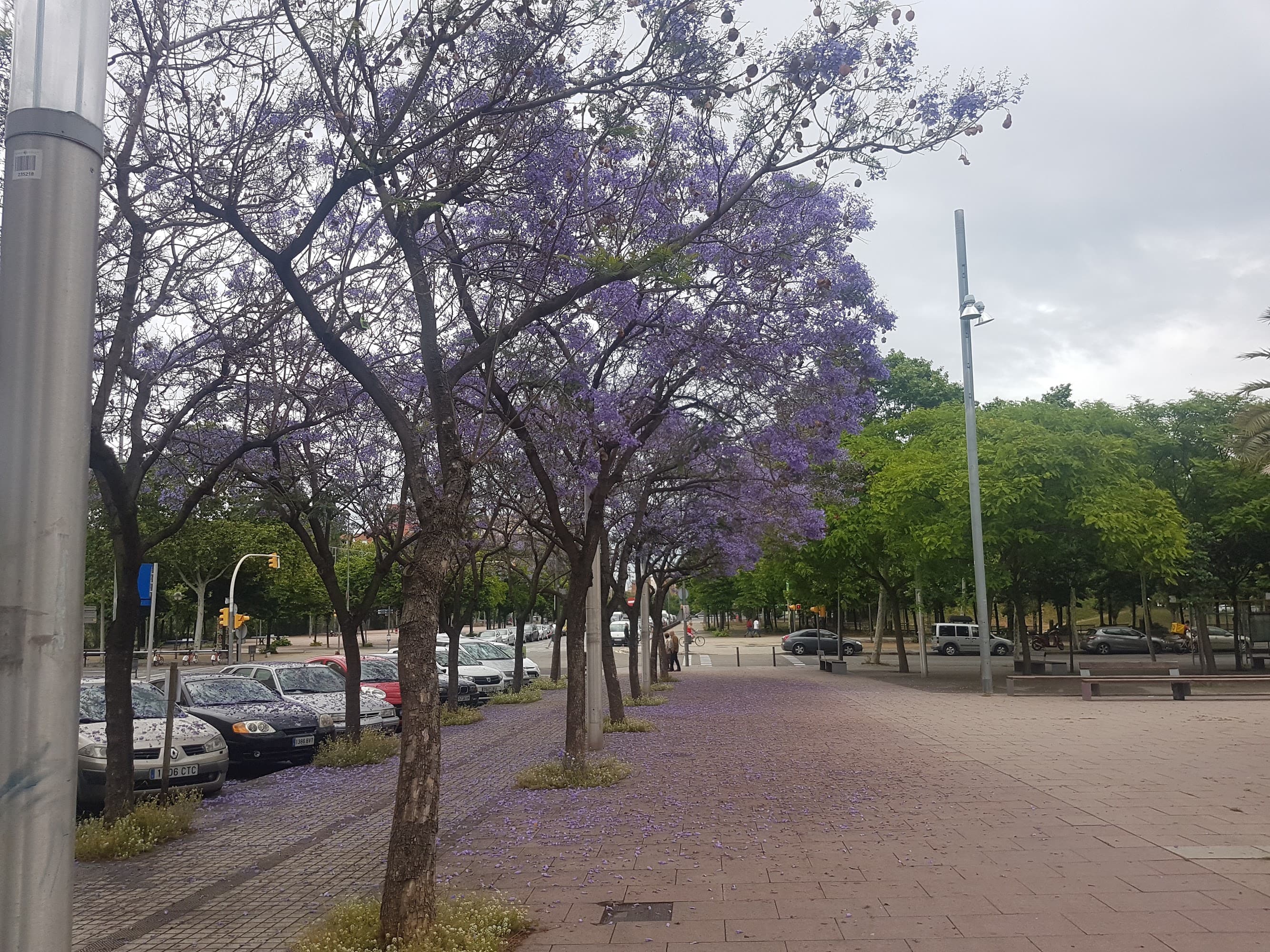Foto secundaria del campus Escola d'Hoteleria i Turisme de Barcelona