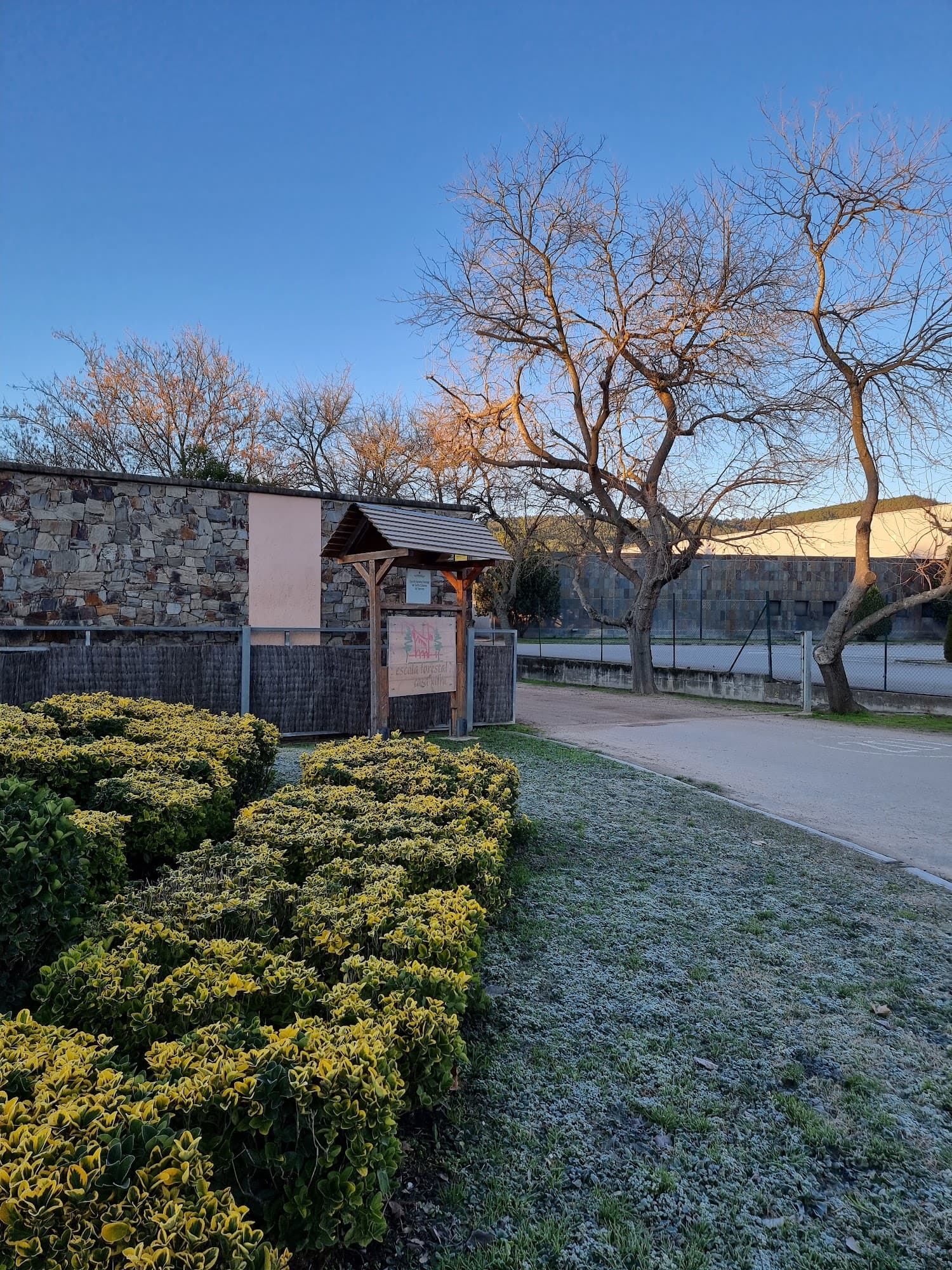 Foto secundaria del campus Escola Agrària i Forestal de Santa Coloma de Farners