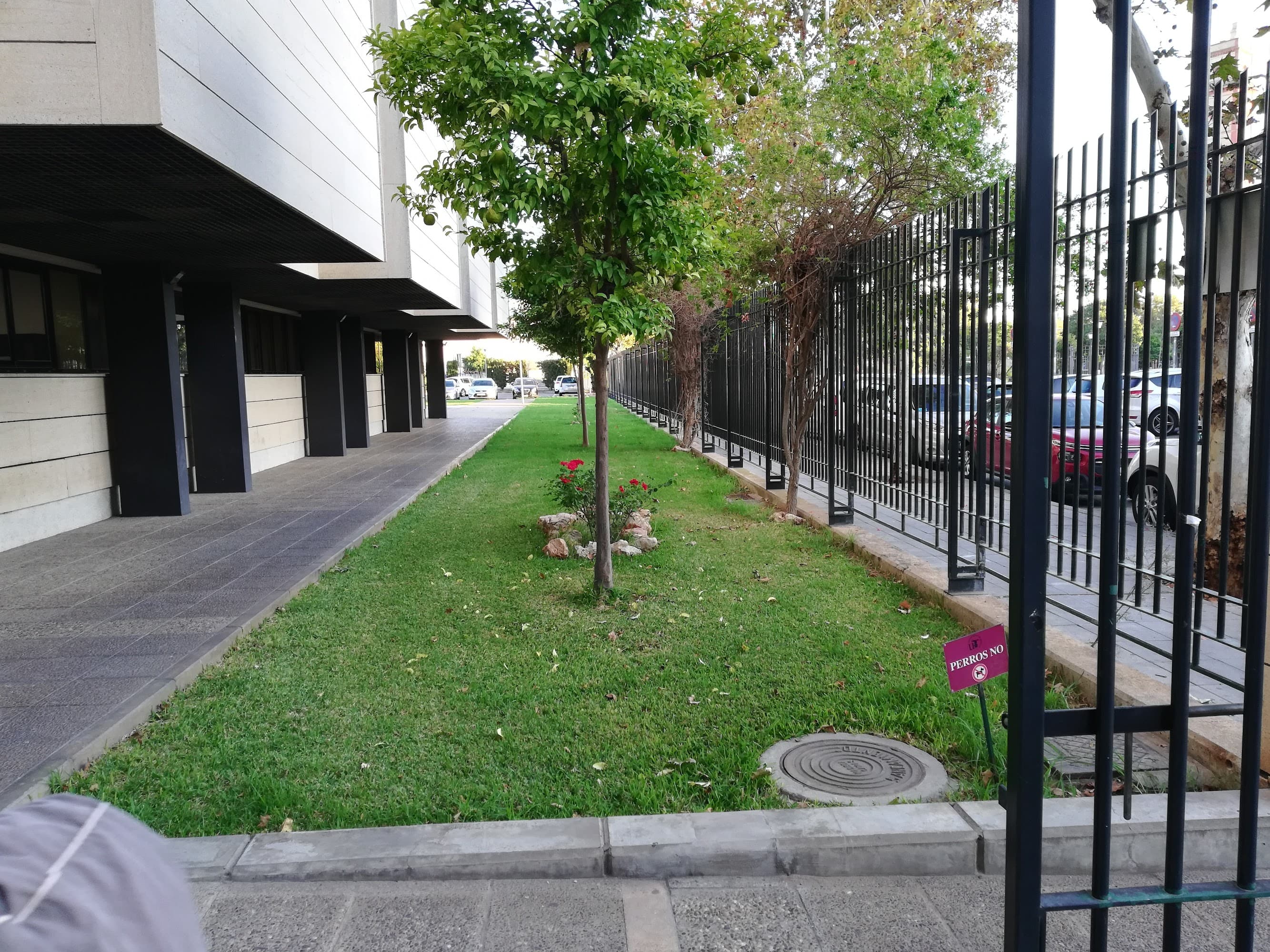 Foto secundaria del campus Facultad de Odontología