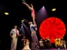 Instructor d'Arts Circenses