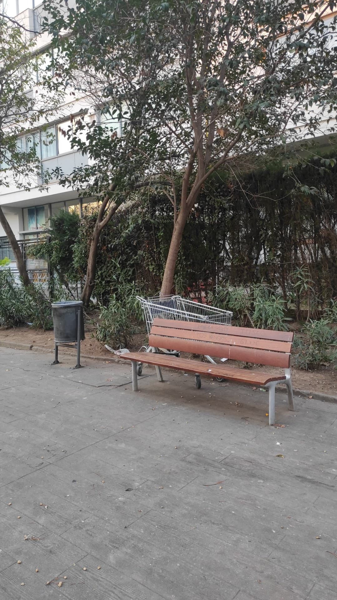 Foto secundaria del campus Santa Maria dels Apòstols