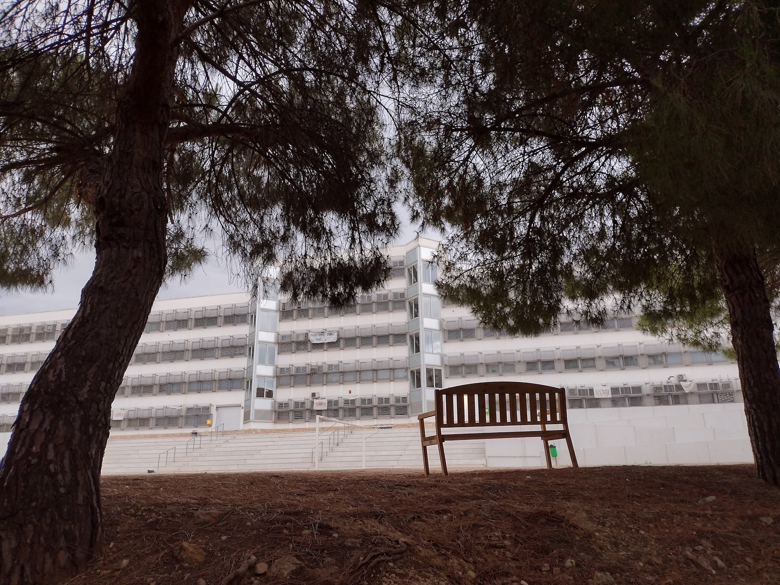 Foto secundaria del campus Institut Antoni de Martí i Franquès