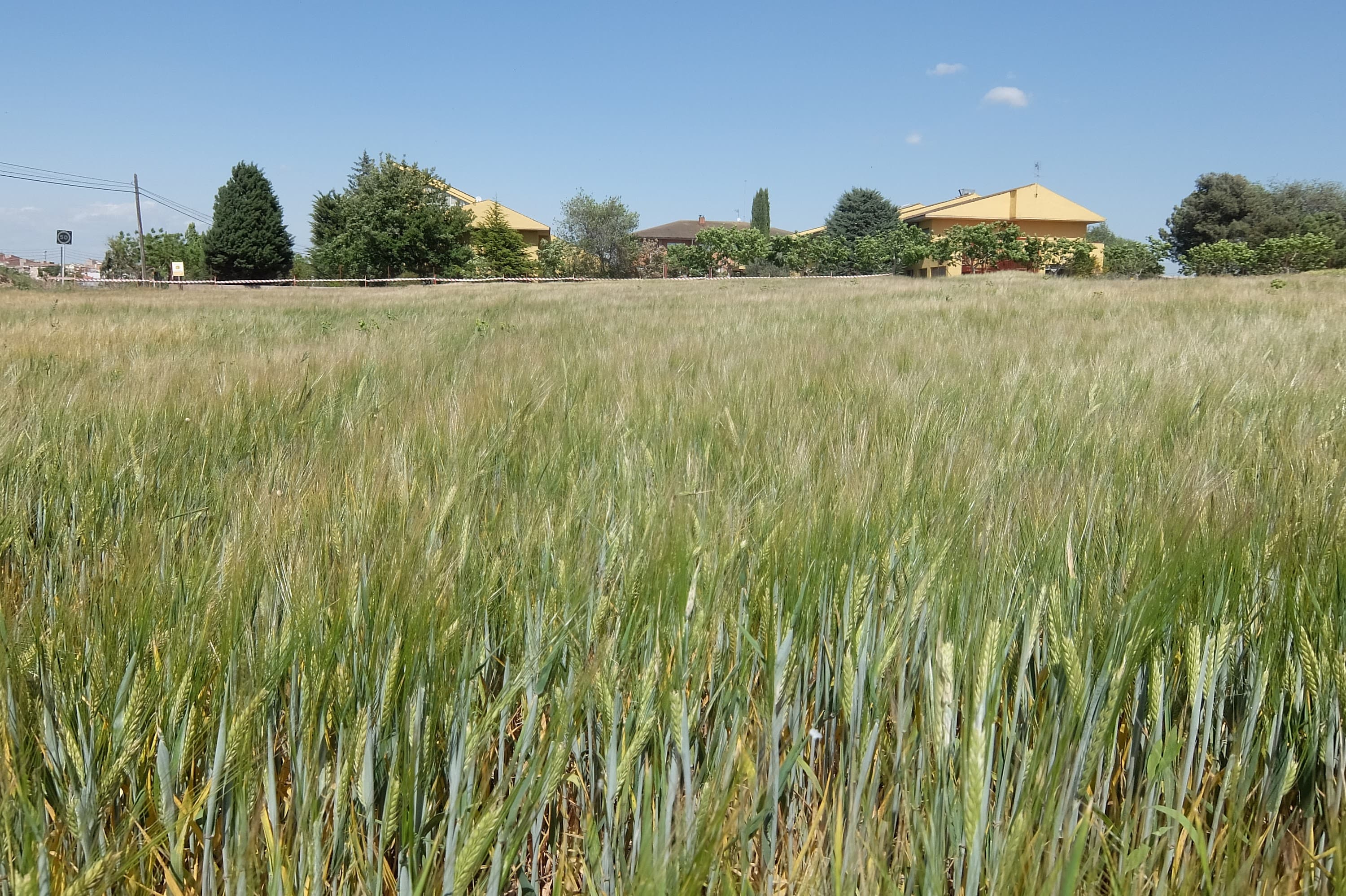 Foto secundaria del campus Escola Agrària Tàrrega