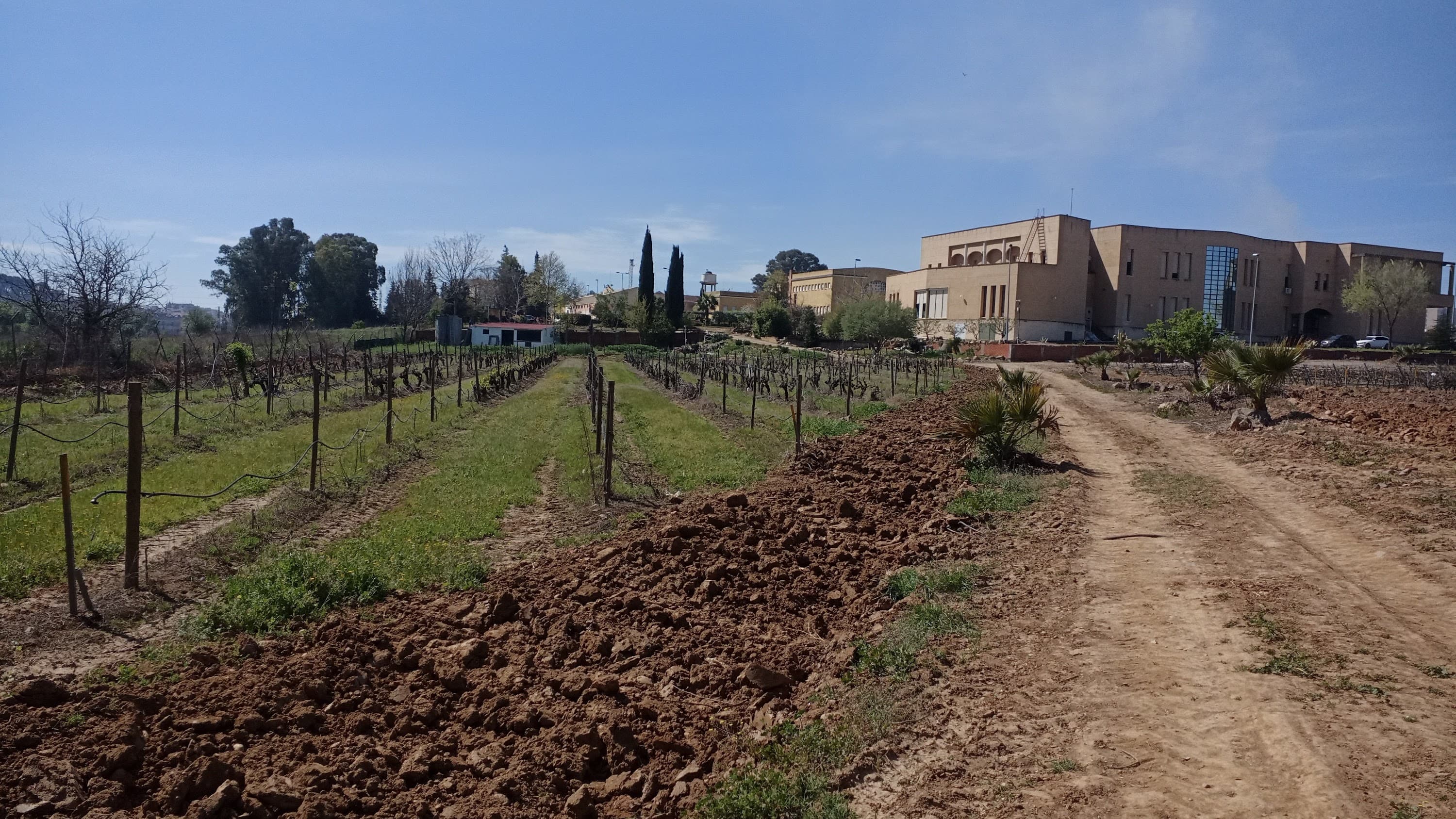 Foto secundaria del campus Escuela de Ingenierías Agrarias
