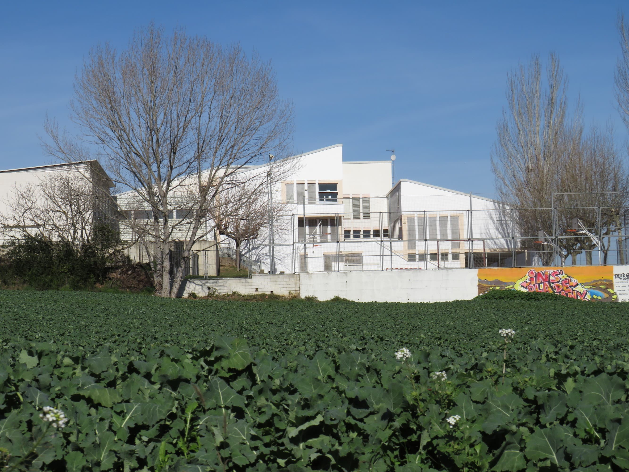 Foto secundaria del campus Institut Pla de l'Estany