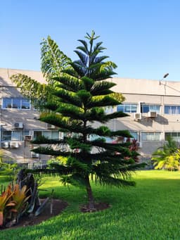 Facultad de Ciencias de la Salud