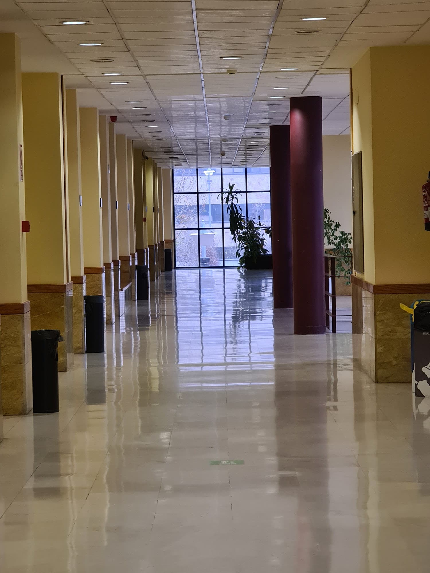 Foto secundaria del campus Facultad de Ciencias Sociales