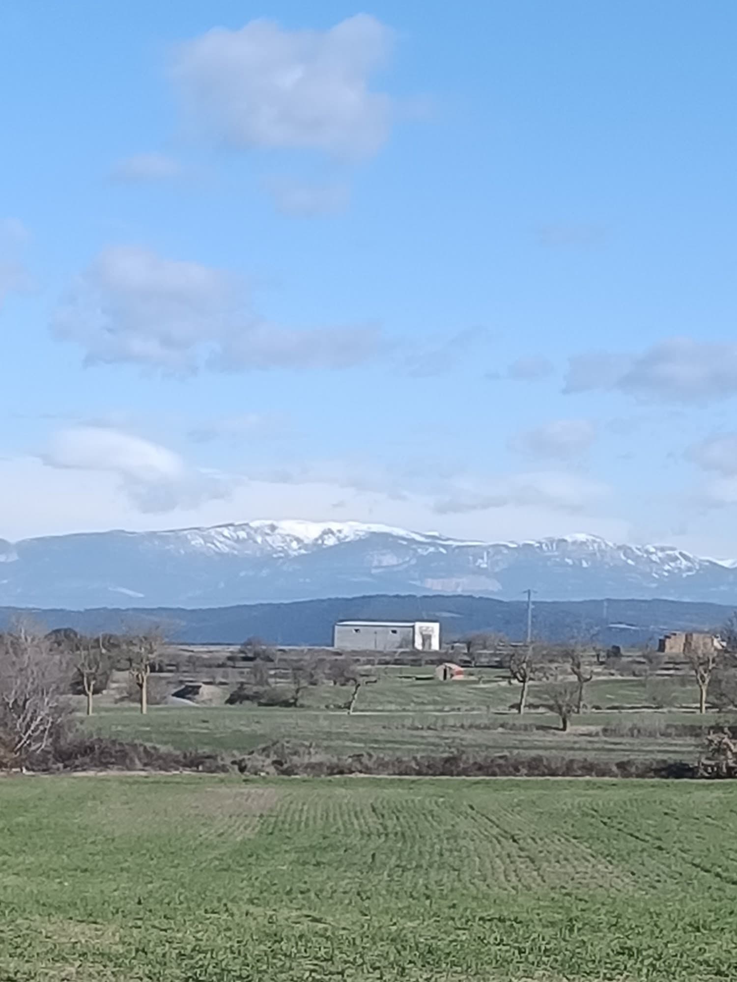 Foto secundaria del campus Institut de Guissona