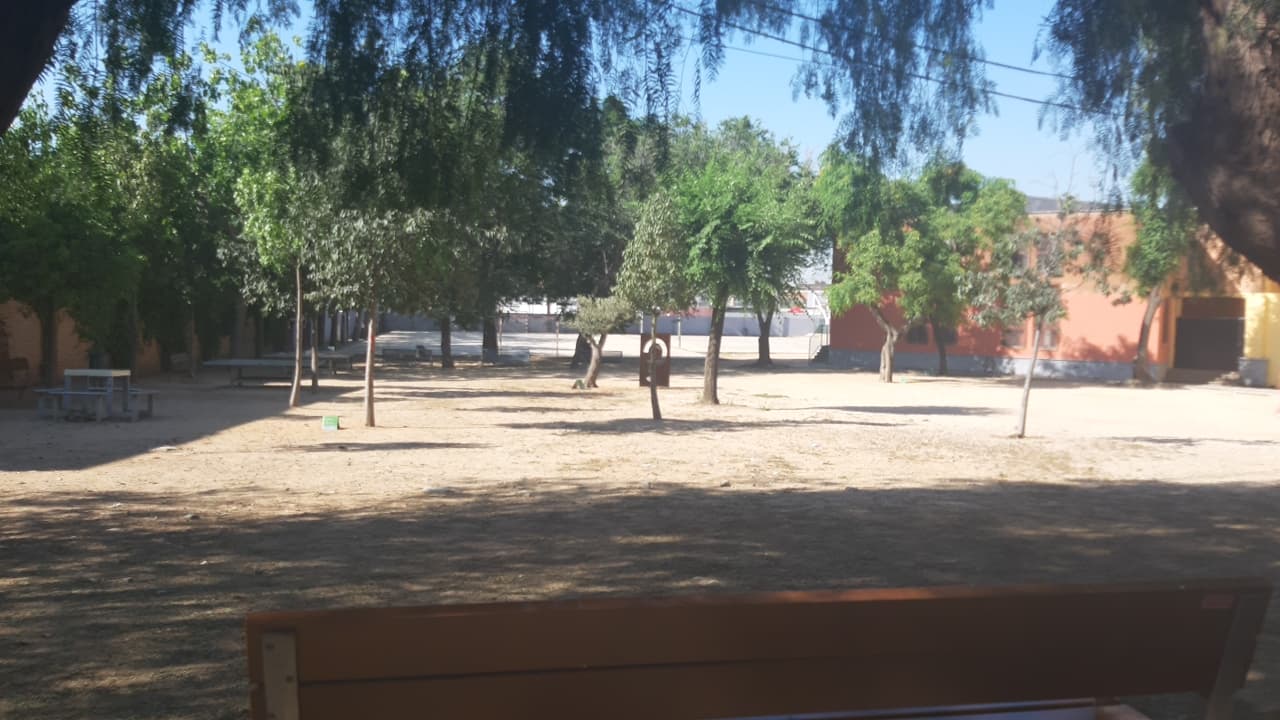 Foto secundaria del campus Institut Puig Castellar