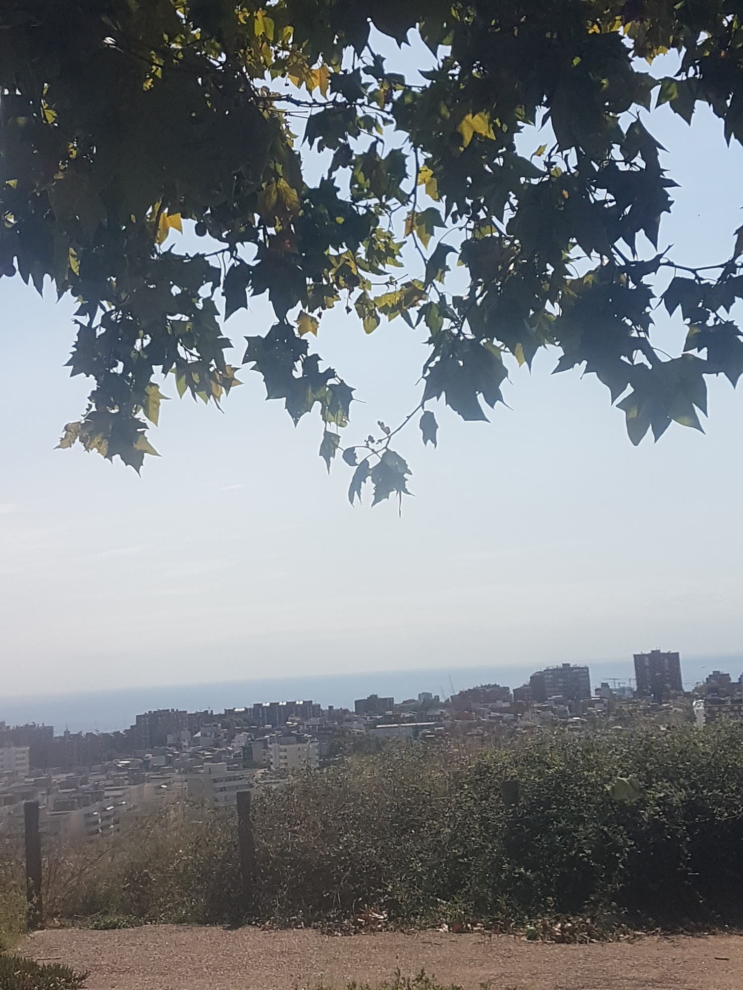 Foto secundaria del campus Institut La Bastida