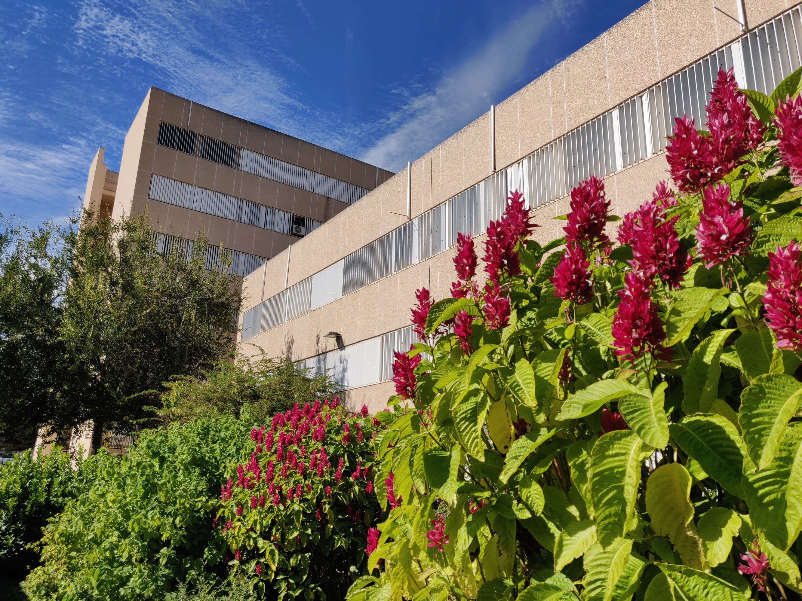 Foto secundaria del campus Facultad de Biología