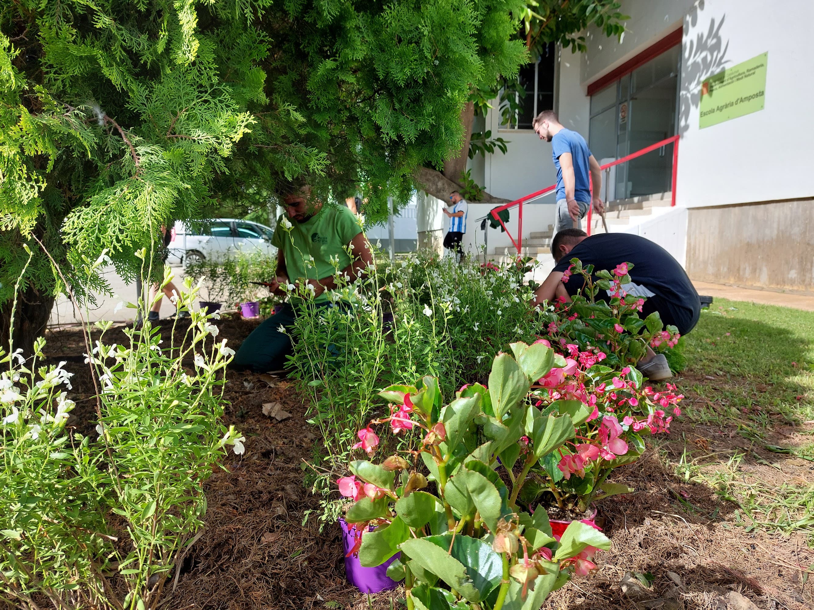 Foto secundaria del campus Escola Agrària d'Amposta