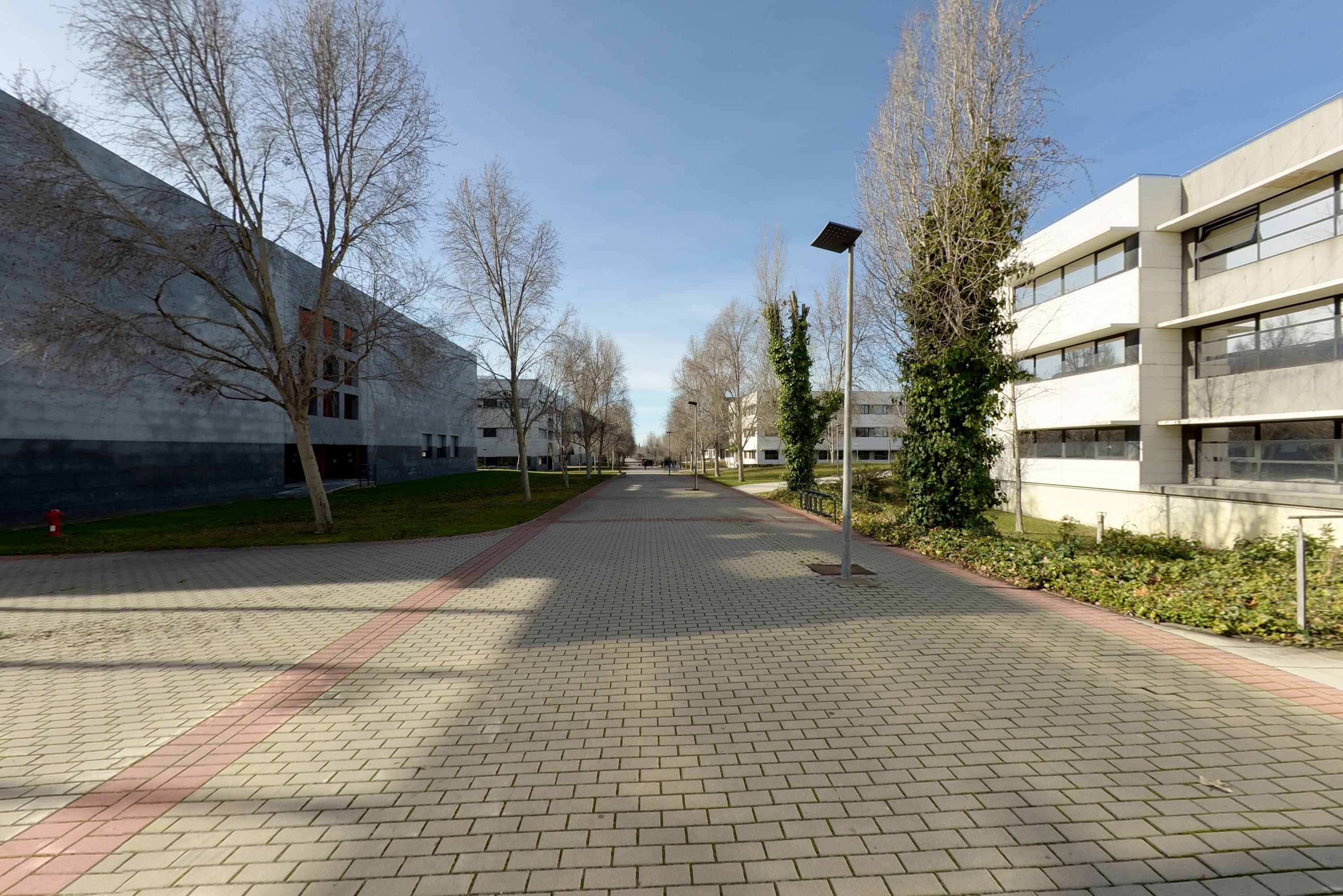 Foto secundaria del campus Campus de Móstoles