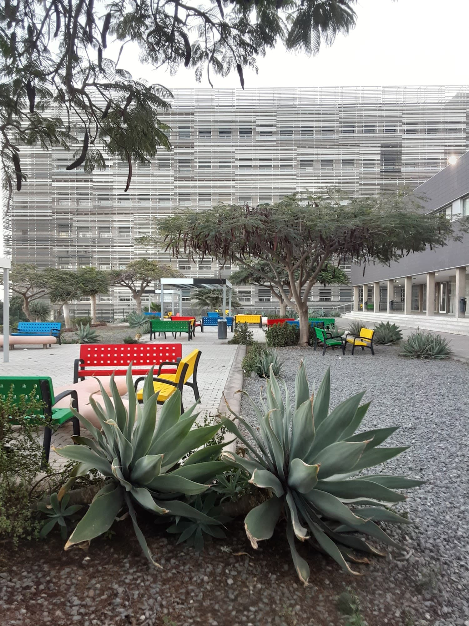 Foto secundaria del campus Campus Lanzarote (EUTL)