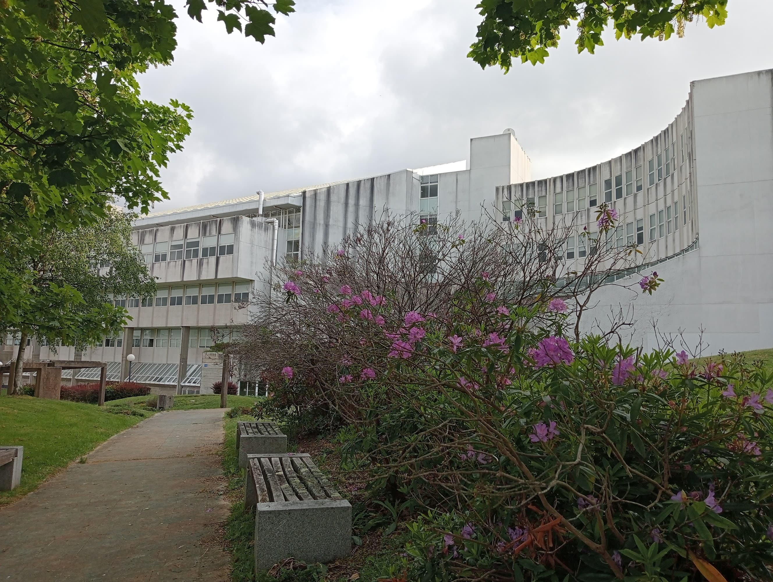 Foto secundaria del campus Facultad de Ciencias de la Educación