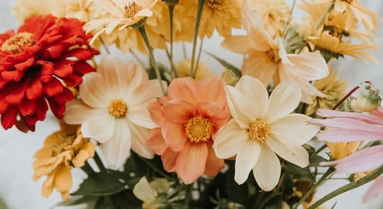 Agrojardrineria i Composicions Florals