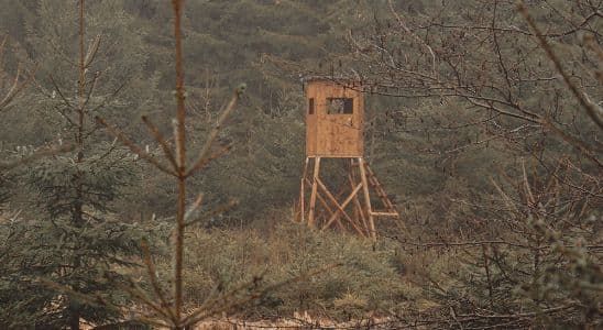 Tècnic Superior en Gestió Forestal i del Medi Natural