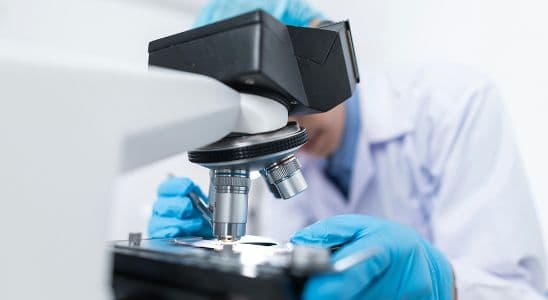 Tècnic Superior en Anatomia Patològica i Citodiagnòstic