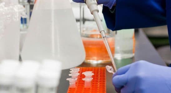 Tècnic Superior en Laboratori Clínic i Biomèdic