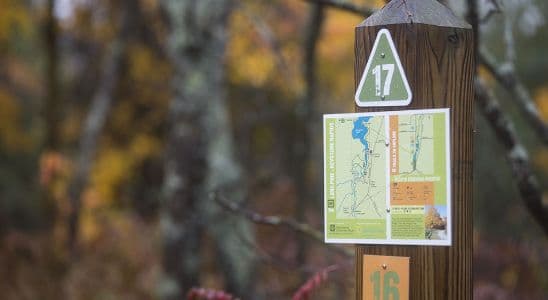 Tècnic en Guia en el Medi Natural i de Lleure