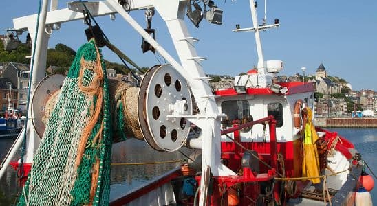 Tècnic Superior en Organització del Manteniment de Maquinària de Vaixells i Embarcacions